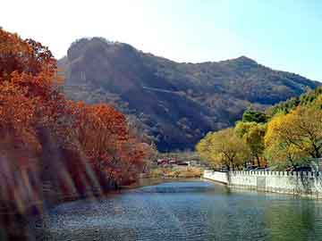 正新澳门二四六天天彩，攀岩板